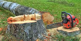 Best Hazardous Tree Removal  in Severna Park, MD