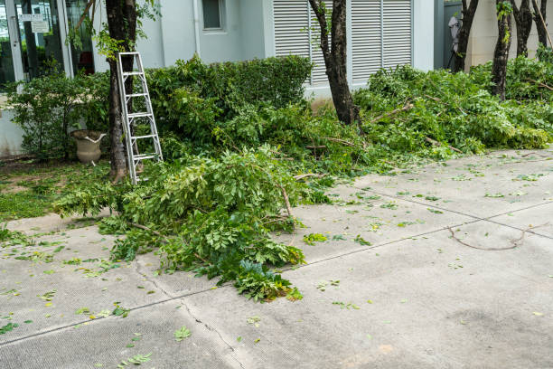 Best Weed Control  in Severna Park, MD